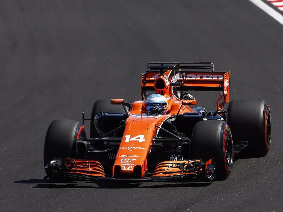 Fernando Alonso, Stoffel Vandoorne