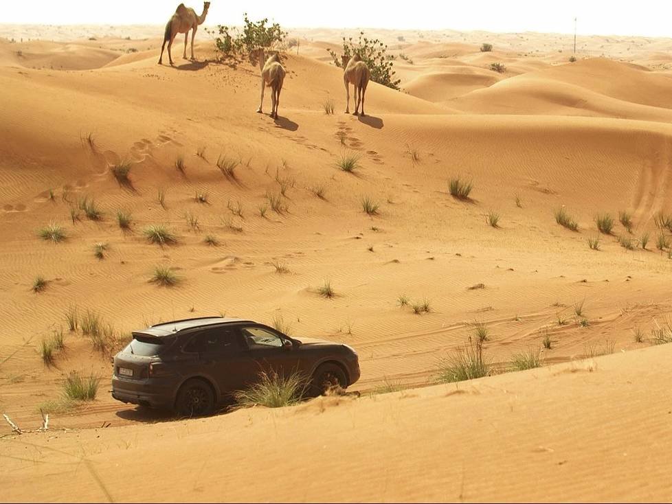 Erprobungsfahrt des neuen Porsche Cayenne 2018 in Dubai