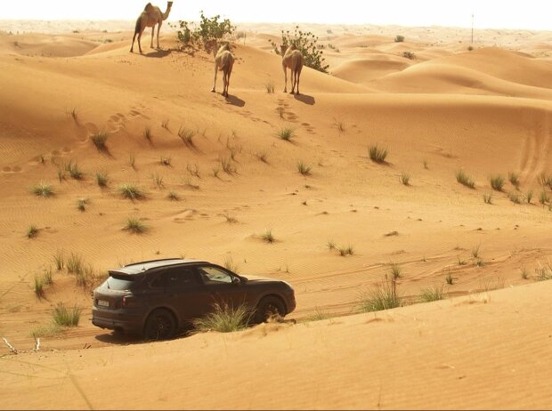 Erprobungsfahrt des neuen Porsche Cayenne 2018 in Dubai Erprobungsfahrt des neuen Porsche Cayenne 2018 in Dubai