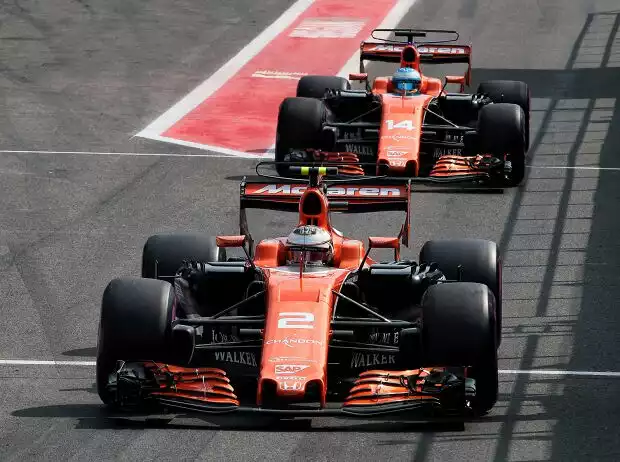 Stoffel Vandoorne, Fernando Alonso Titel-Bild zur News: Stoffel Vandoorne, Fernando Alonso