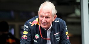 "Es war dumm": Lauda und Marko kritisieren Rennleitung