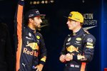 Daniel Ricciardo (Red Bull) und Max Verstappen (Red Bull) 