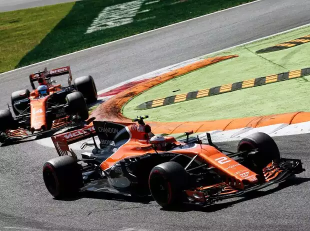 Stoffel Vandoorne, Fernando Alonso Titel-Bild zur News: Stoffel Vandoorne, Fernando Alonso