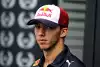 Bild zum Inhalt: Pierre Gasly rudert zurück: Das habe ich nicht gesagt