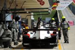 Neel Jani (Porsche) und Nick Tandy (Porsche) 