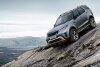 Bild zum Inhalt: Land Rover Discovery SVX: Bilder & Infos zum SVO-Topmodell