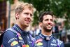 Ricciardo: Verstappen ist ein härterer Teamkollege als Vettel