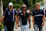 Esteban Ocon (Force India), Carlos Sainz (Toro Rosso) und Marcus Ericsson (Sauber) 