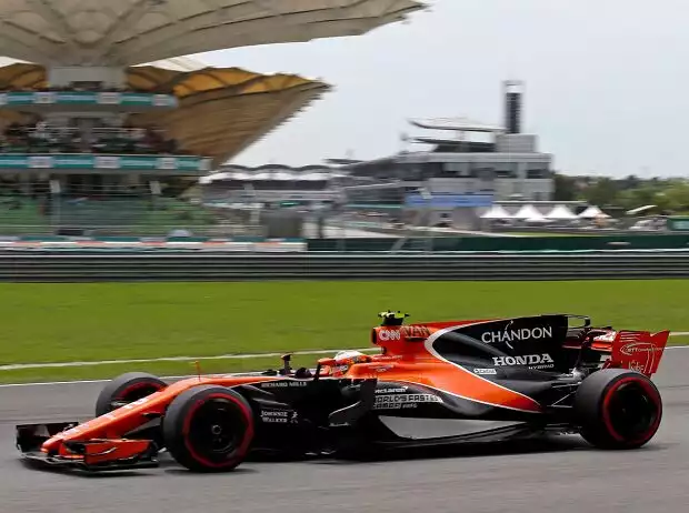 Titel-Bild zur News: Stoffel Vandoorne