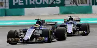 Bild zum Inhalt: Lob des Sauber-Teamchefs: Wehrlein "konstant" und "stark"