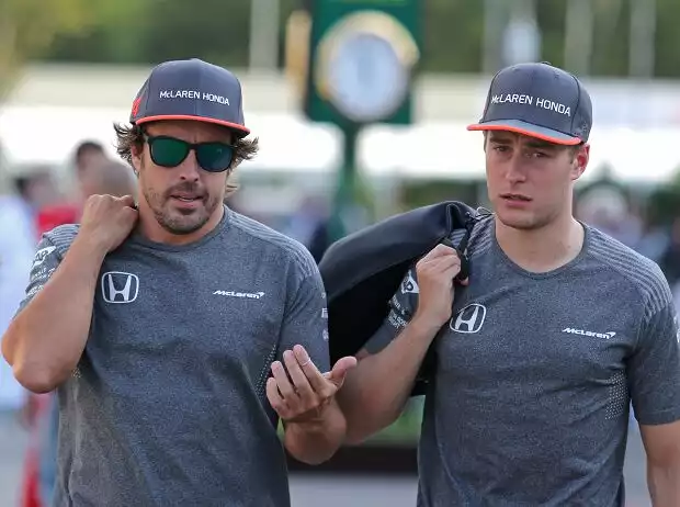 Fernando Alonso, Stoffel Vandoorne Titel-Bild zur News: Fernando Alonso, Stoffel Vandoorne