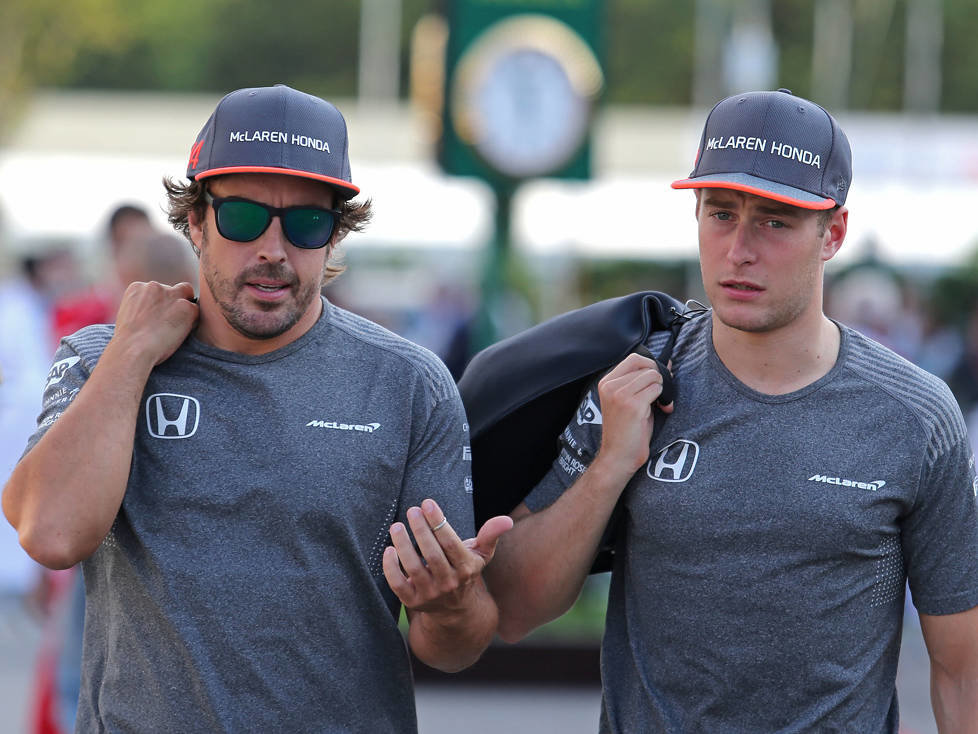 Fernando Alonso, Stoffel Vandoorne