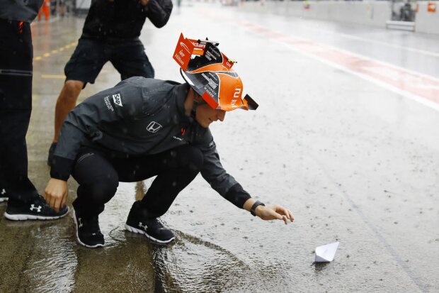 Stoffel Vandoorne McLaren McLaren Honda F1 ~Stoffel Vandoorne (McLaren) ~ 