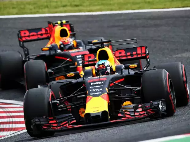 Daniel Ricciardo, Max Verstappen Titel-Bild zur News: Daniel Ricciardo, Max Verstappen