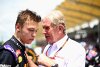 Palmer-Sainz-Rochade: Was wirklich dahinter steckt