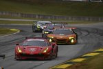 Giancarlo Fisichella, Toni Vilander und Alessandro Pier Guidi (AF Corse) 