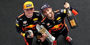 Red Bull: Verstappen und Ricciardo sollen bis 2020 bleiben