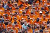 Bild zum Inhalt: Oranje-Welle surfen: Formel-1-Rennen in Niederlanden?