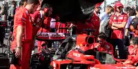 Bild zum Inhalt: Ferrari holt Expertin: Spanierin soll das Defektchaos abstellen