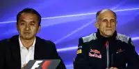 Bild zum Inhalt: Franz Tost über 2018: Keine Angst vor Gridstrafen mit Honda