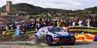 Thierry Neuville, Nicolas Gilsoul