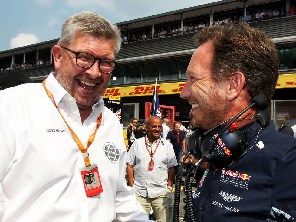 Ross Brawn, Christian Horner