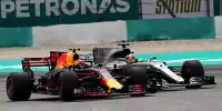 Max Verstappen, Lewis Hamilton