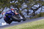 Maverick Vinales (Yamaha)