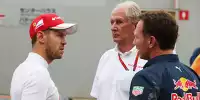 Sebastian Vettel, Helmut Marko, Christian Horner