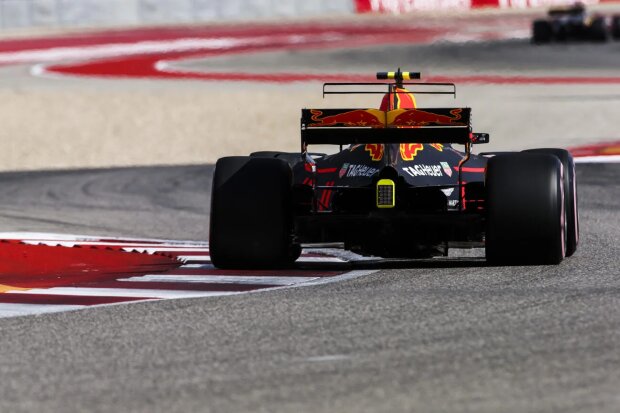 Max Verstappen Red Bull Red Bull Racing F1 ~Max Verstappen (Red Bull) ~ Max Verstappen Red Bull Red Bull Racing F1 ~Max Verstappen (Red Bull) ~
