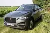 Bild zum Inhalt: Jaguar F-Pace 30d AWD Test: Bilder, Preis, Daten, Anhängelast