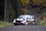 Elfyn Evans (M-Sport) und Daniel Barritt 