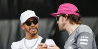 Bild zum Inhalt: Alonso: Was Hamilton von anderen Champions unterscheidet