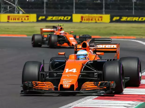 Titel-Bild zur News: Fernando Alonso, Stoffel Vandoorne
