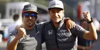 Fernando Alonso, Stoffel Vandoorne
