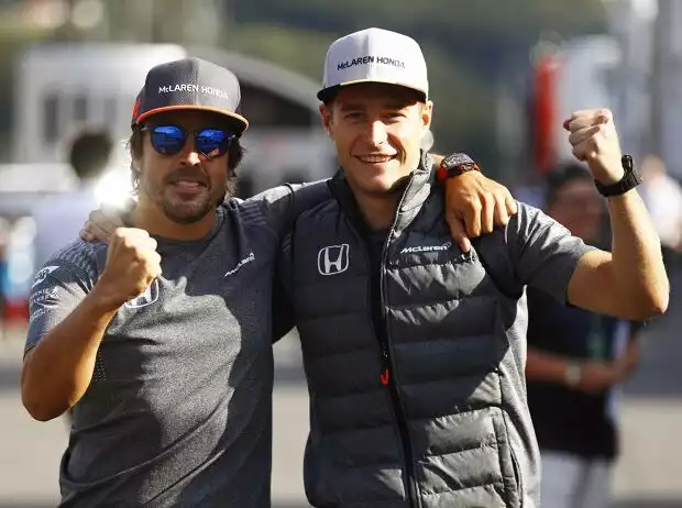 Fernando Alonso, Stoffel Vandoorne Titel-Bild zur News: Fernando Alonso, Stoffel Vandoorne