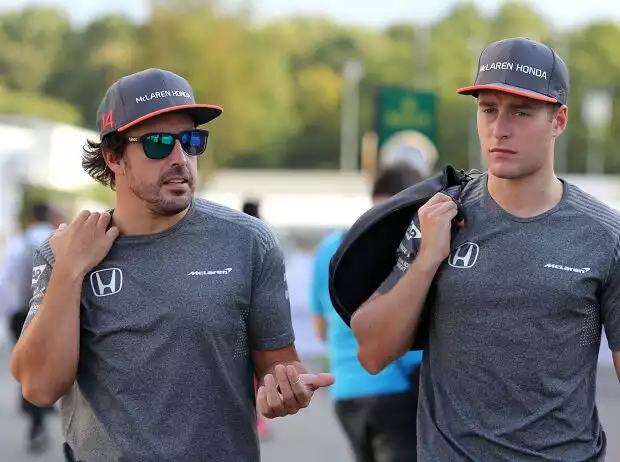 Fernando Alonso, Stoffel Vandoorne Titel-Bild zur News: Fernando Alonso, Stoffel Vandoorne