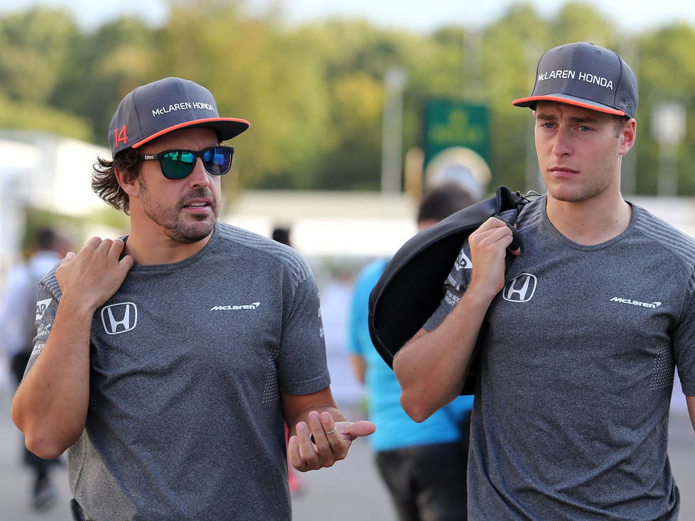 Fernando Alonso, Stoffel Vandoorne