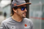 Fernando Alonso (McLaren) 