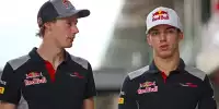 Bild zum Inhalt: Formel 1 2018: Toro Rosso bestätigt Gasly und Hartley