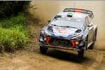 Hayden Paddon (Hyundai) 