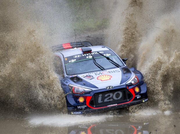Thierry Neuville Thierry Neuville