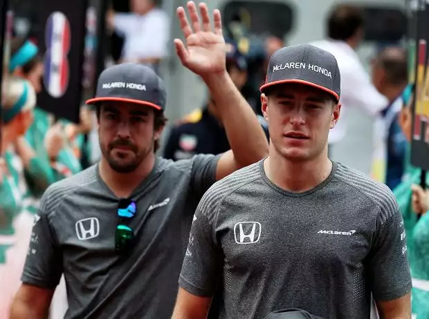 Stoffel Vandoorne, Fernando Alonso Titel-Bild zur News: Stoffel Vandoorne, Fernando Alonso