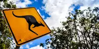 Rallye Australien