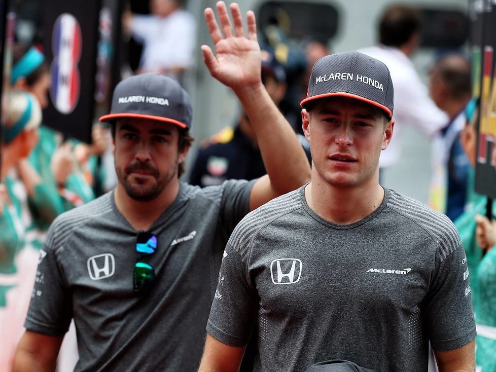 Stoffel Vandoorne, Fernando Alonso