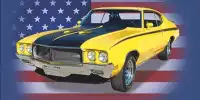 "99 US-Muscle-Cars aus denen Sie nie wieder aussteigen wollen" von Hans J. Schippers