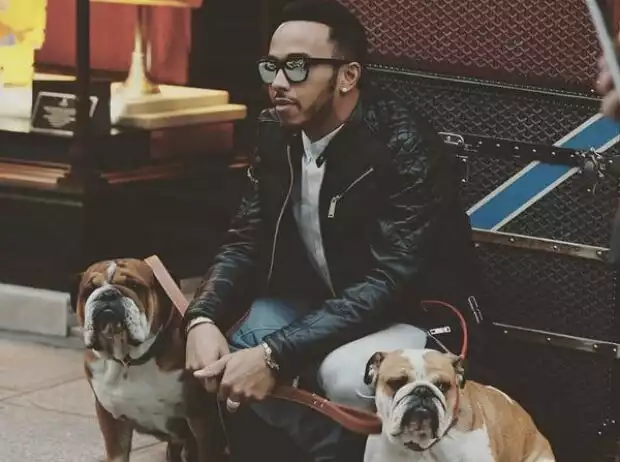 Titel-Bild zur News: Lewis Hamilton