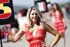 Bild zum Inhalt: Debatte um Formel-1-Grid-Girls: Augenschmaus oder "nuttig"?