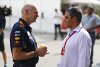 Newey: Motorenbasiertes Reglement "strategischer Fehler"