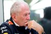 Neuer Ferrari-Job: Helmut Marko freut sich für Daniil Kwjat